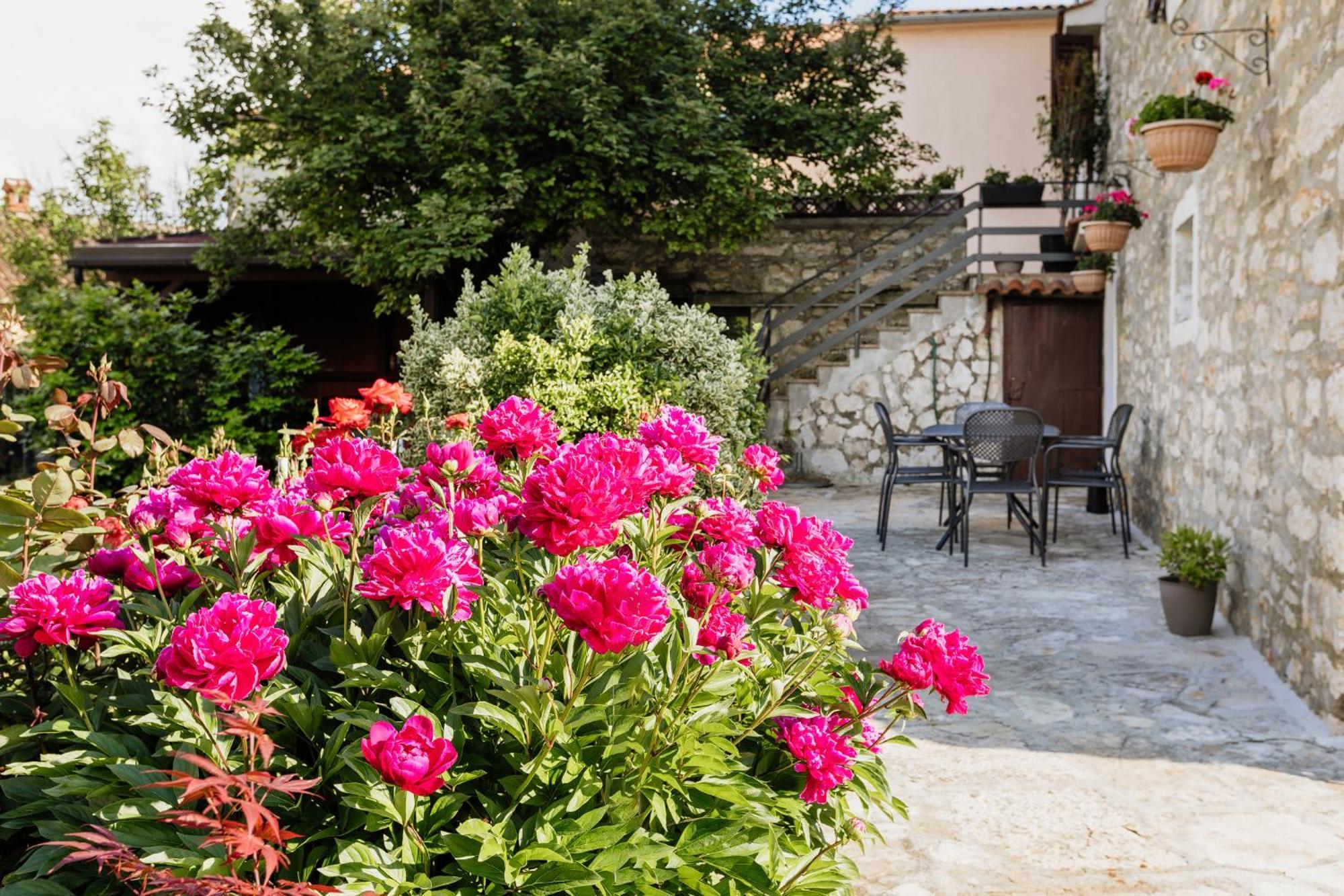 Apartments Mirna Stress Free Babici Exterior foto